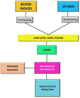 Metabolic signature of Mycobacterium avium subsp. paratuberculosis infected and infectious dairy cattle by integrating nuclear magnetic resonance analysis and blood indices